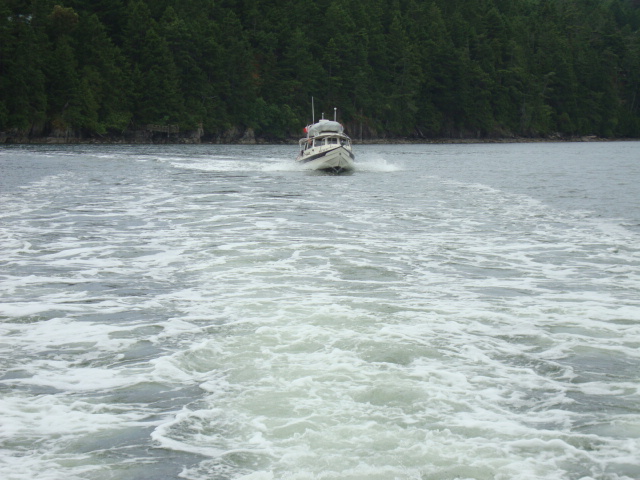 10 June C-Cakes north of Bedwell Harbor