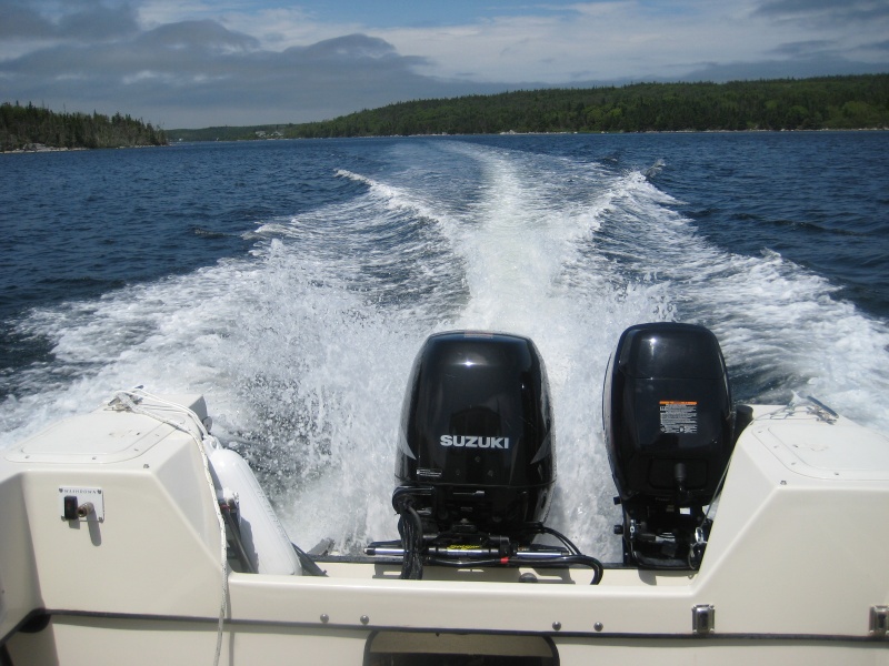 115HP Suzuki and an 18HP Nissan. Both 4 strokes and connected to the fuel and water separator. I get 31 MPH with the 115HP and 5-6MPH with the 18HP kicker. The 18HP has electric start and alternater.