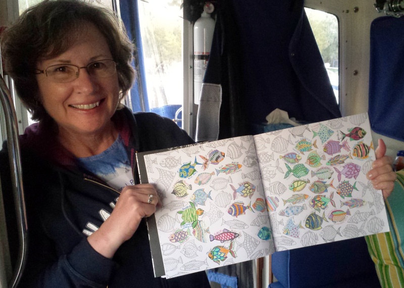 14.) Cooperative coloring project