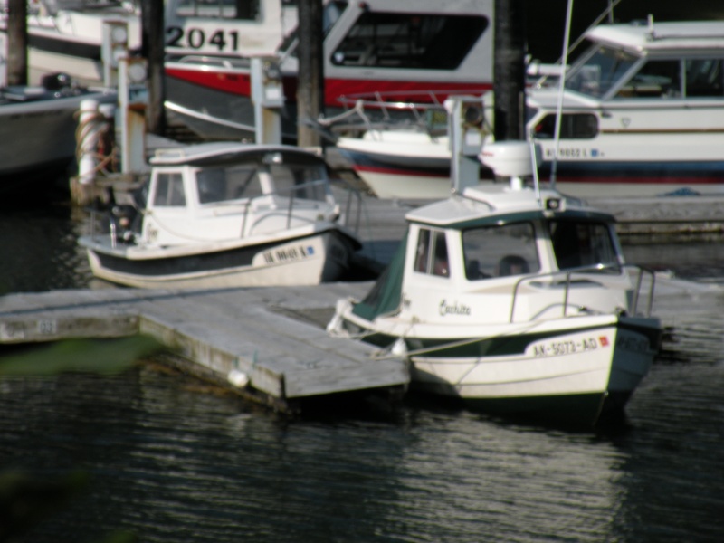 16' Angler & Cruiser @ Douglas Harbor