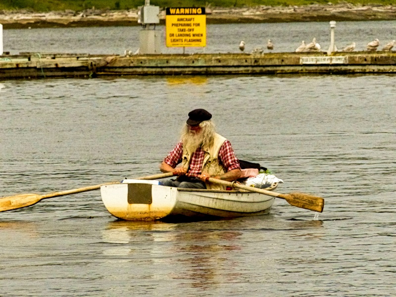 16 Friendly Fellow in bay