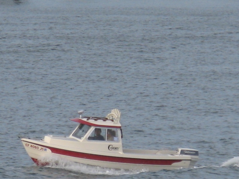 16\' in San Diego harbor