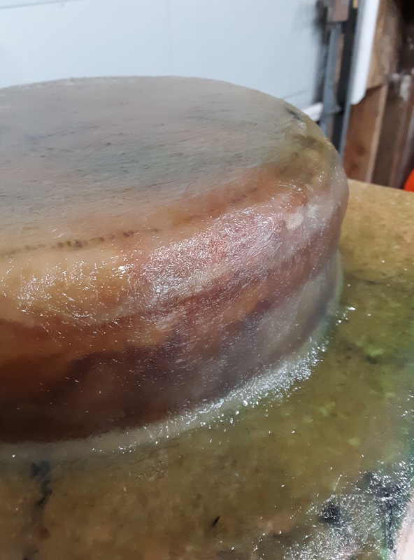 1708 and chopped strand mat. polyester resin