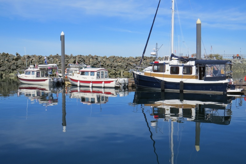 18 C-Dory's and two HAS BEEN C-Brat-ers!  a Ranger Tug from Pennsylvania and a Nordic Tug just switched from Nanaimo joined in too.