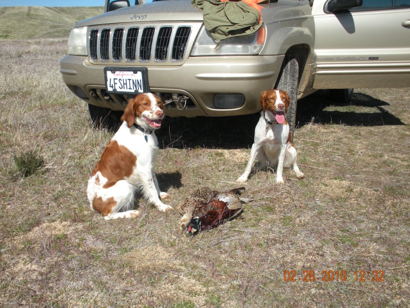 2-28-10 hunt