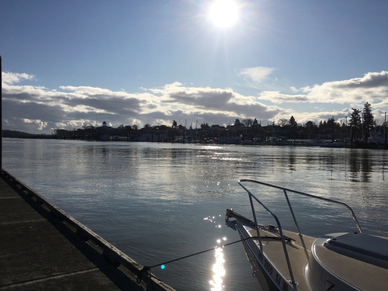 2/5/20 - Sand Island Marine Park, across the channel from St. Helens, WA