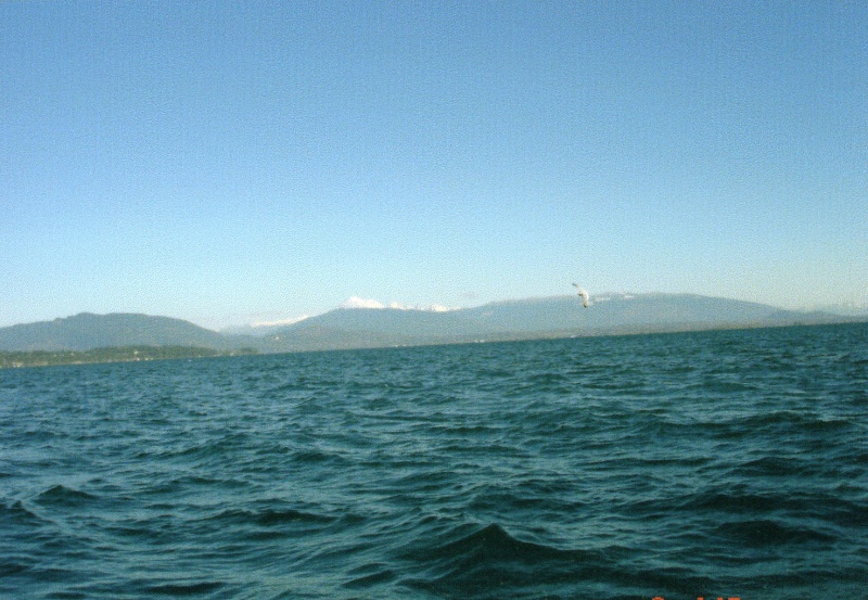 2 Jan 2005 Lots of blue water