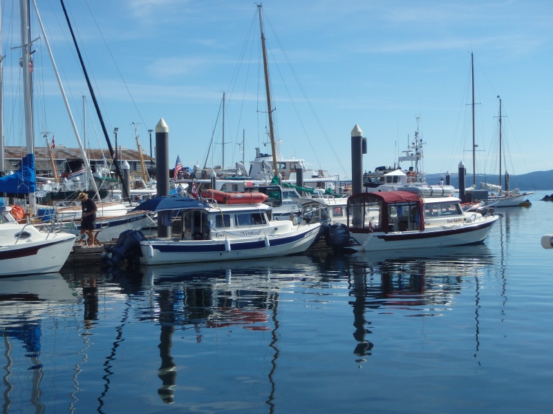 20 boats in total for the event Aug 12 -14/2016