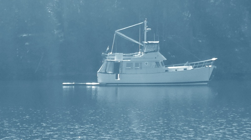 2001 40' Willard trawler.  Nice couple from Oregon who keep it in Anacortes.  I like this boat...A LOT.  He said it's about half a Nordhaven trawler and more comfortable a ride.  600 gallon diesel capacity.