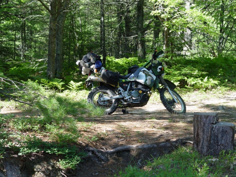 2001 Kawasaki KLR 650 #5