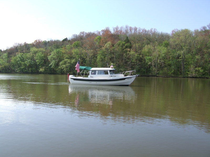 2007 0428(011)
