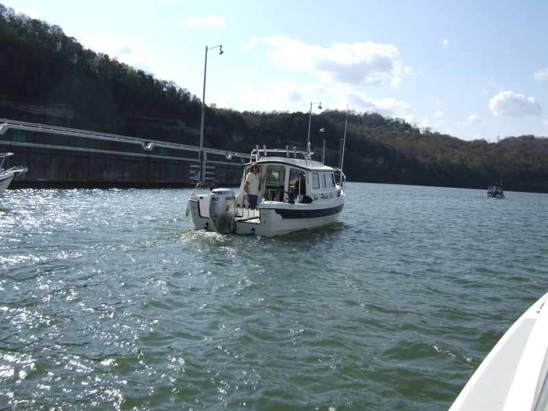 2007 0428(029)