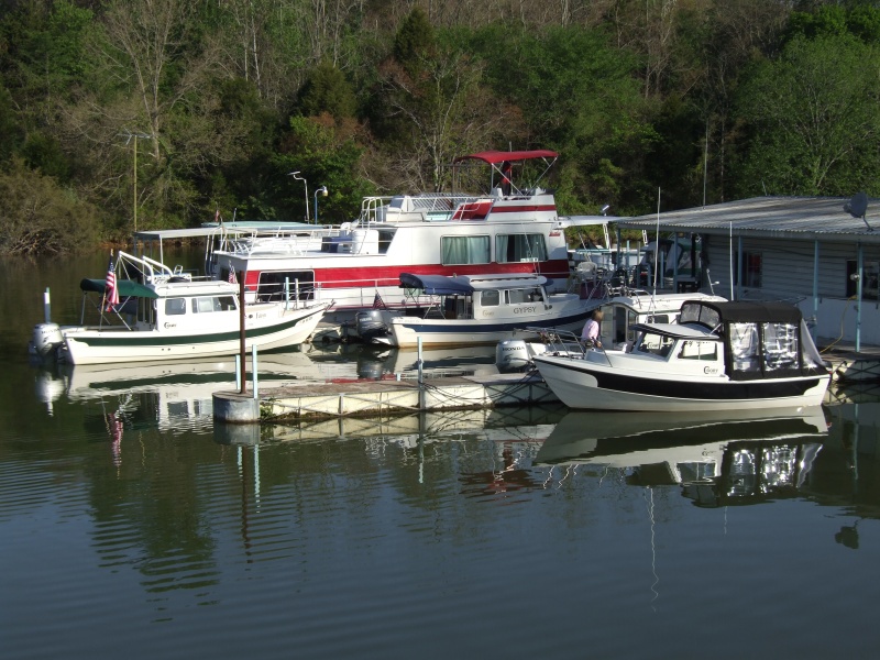 2007 0429(003)