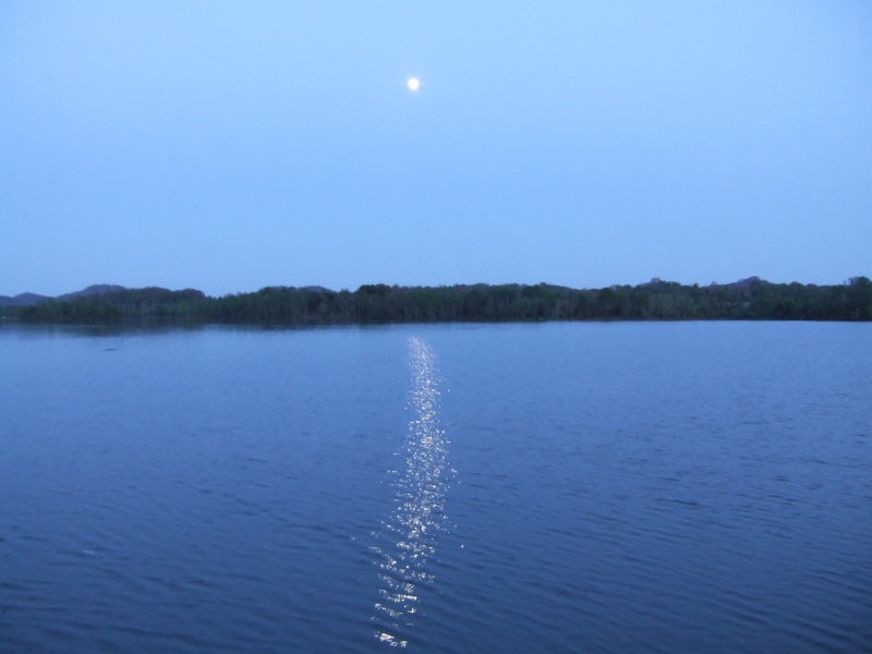 2007 0430(001)