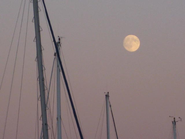 2008 10 15 4182
