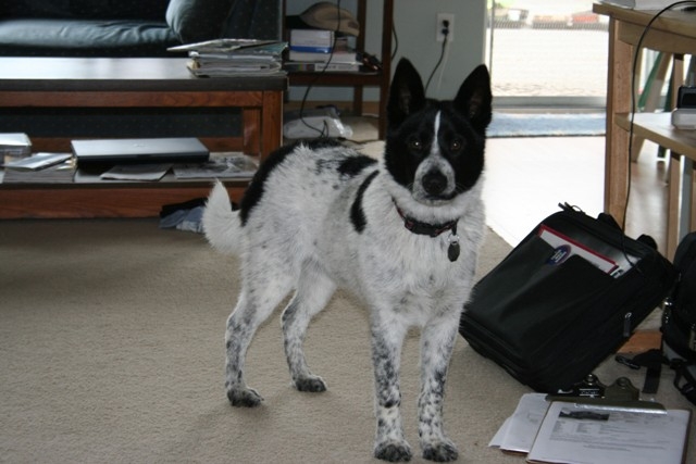 2008 920 resize