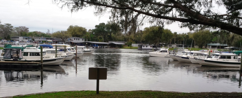 2015-02-26 Cdorys at Hontoon State Park Marina