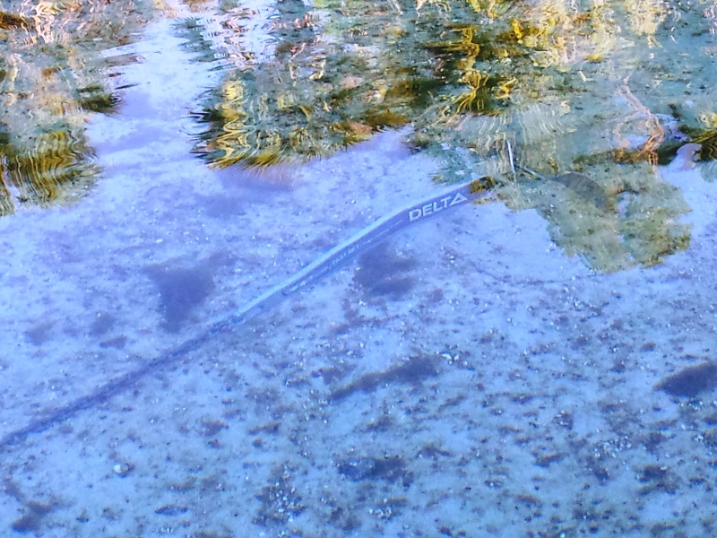2015-03-09 Delta plowed in at Silver Glenn Springs in 3 feet of water