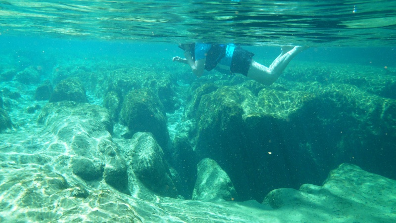 2015-03-11b Salt Springs