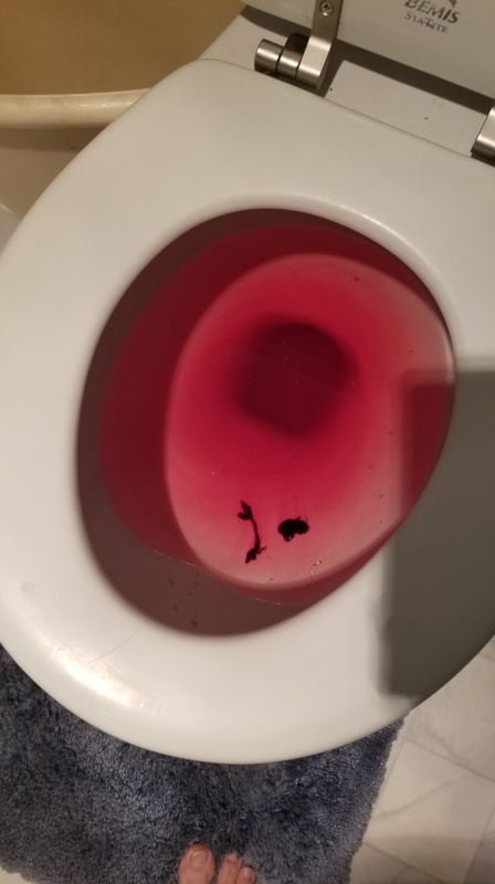 20200323 030553