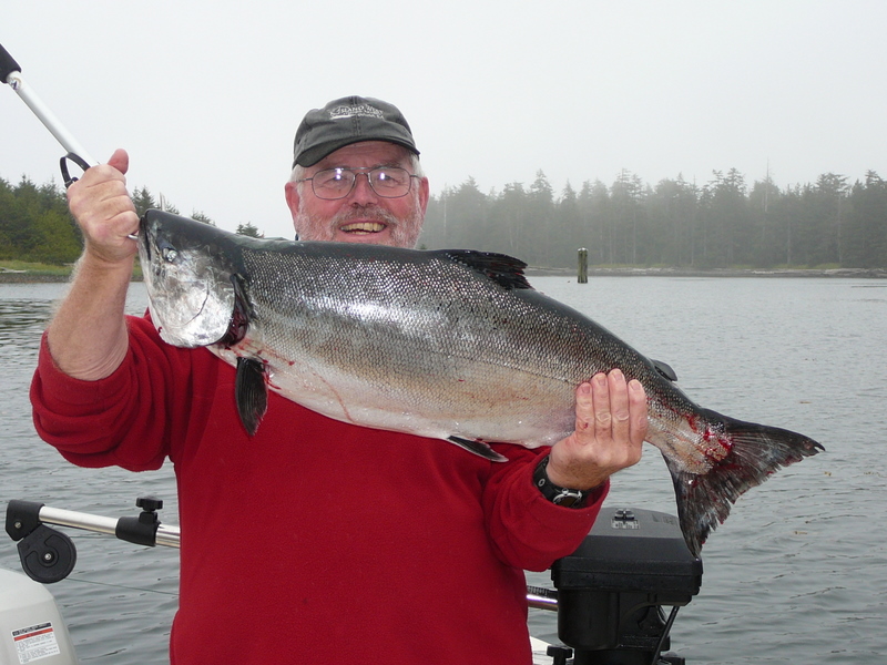 20lb chinook