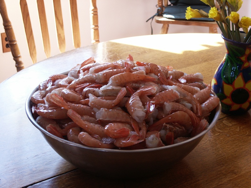 21# of tails