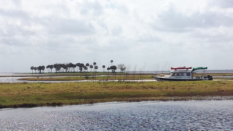 22.) Winding through the Econlockhatchee River with Blue Days