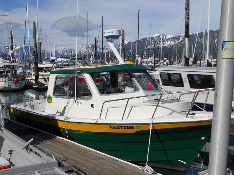 26' Pro Angler; older model that's been repainted (Seward AK, July 2010)