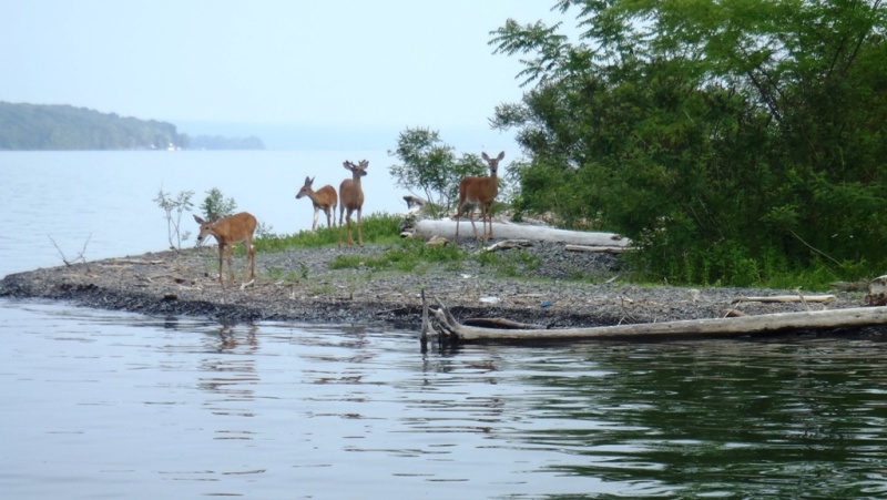 26.) Some friends greeted us on the mooring ball in the morning