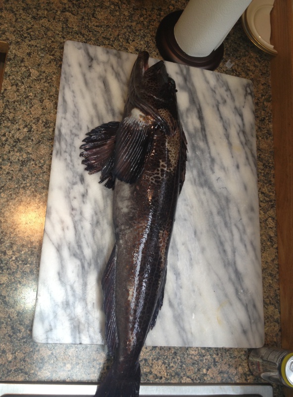 28" Ling - the one that didn't get away :-)