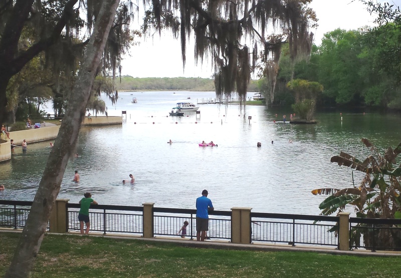28.) Salt Springs off of Northwest end Lake George.