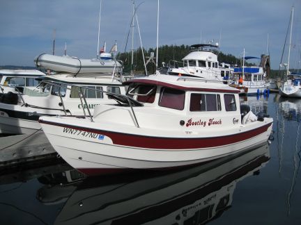 29