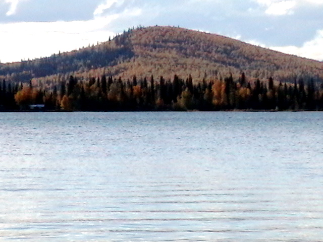 2nd launch - Birch Lake - Looking for moose