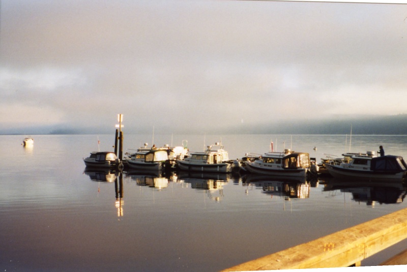 3 Oct 2004 Sequim  
C-Dorys before the fog
rolled in