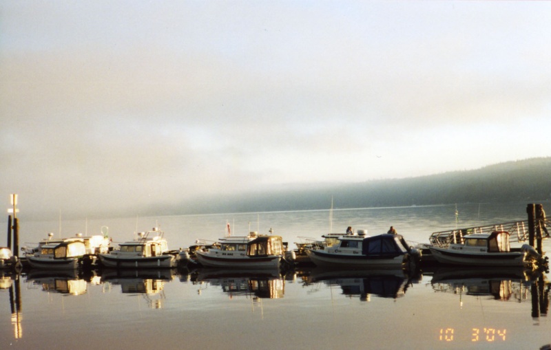 3 Oct 2004 Sequim
C-Dorys early Sunday morning