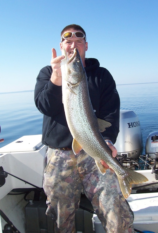 33 incher