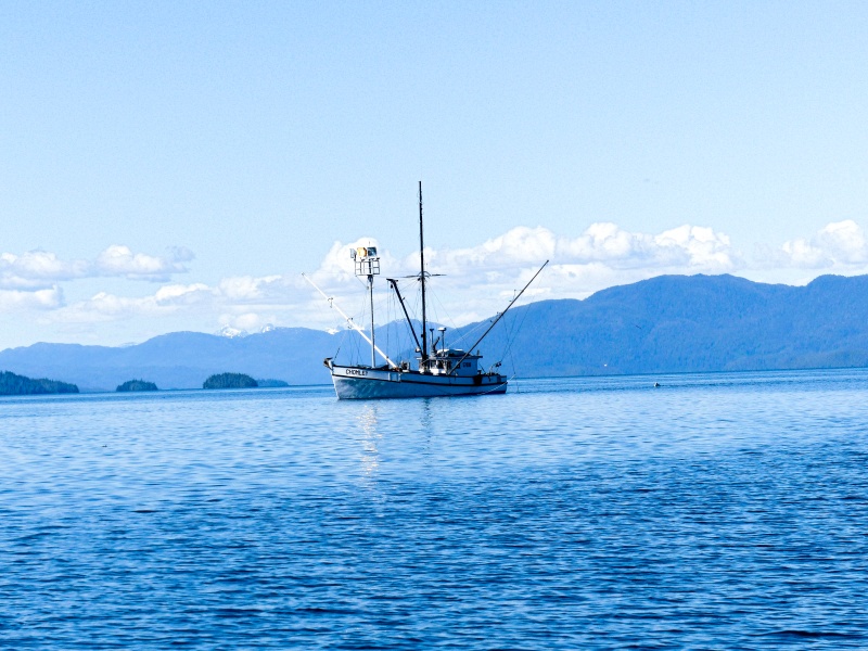 34 Fisherpersons at work