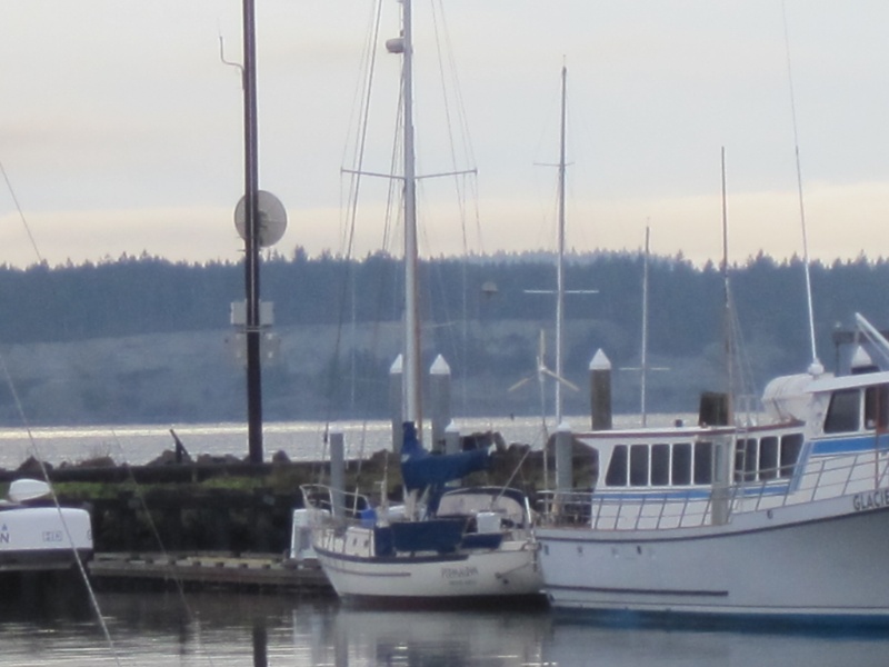 37\' Permagrin behind whale watch boat