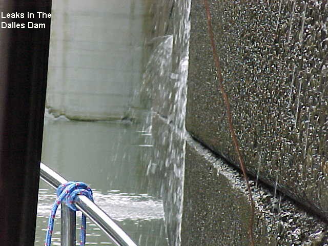 40 Leaks in The Dalles Dam