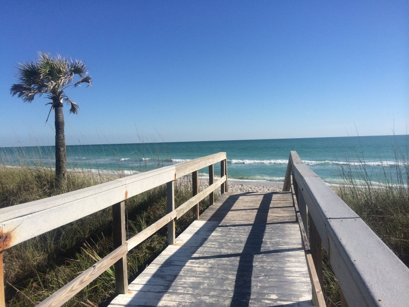 41.) Don Pedro Island beach