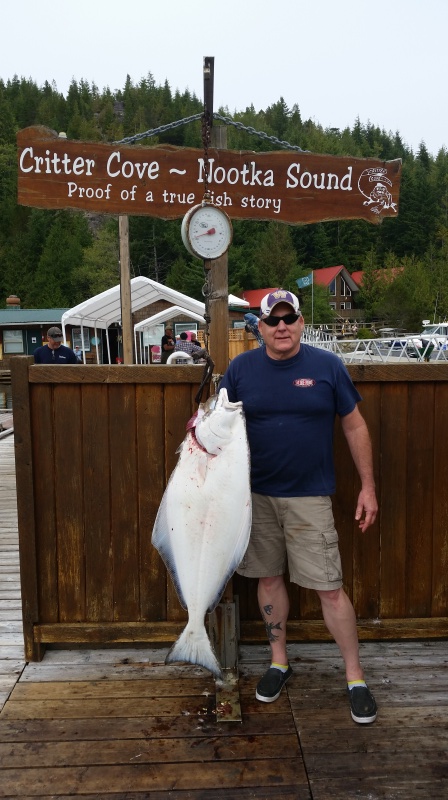 41 lbs Nootka Halibut