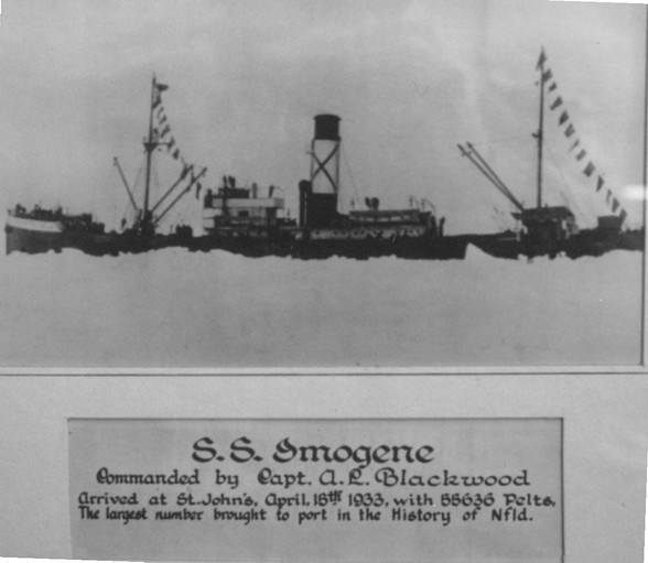 (416rigby) S.S. Imogene, Donna\'s Great Grandfather\'s sealing ship