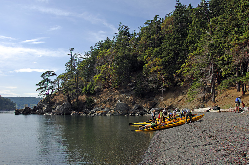 4442 Tour group getting off beach