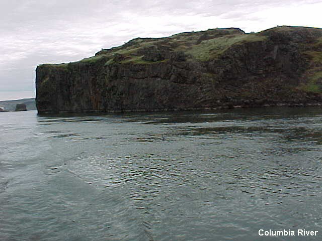 45 Columbia River