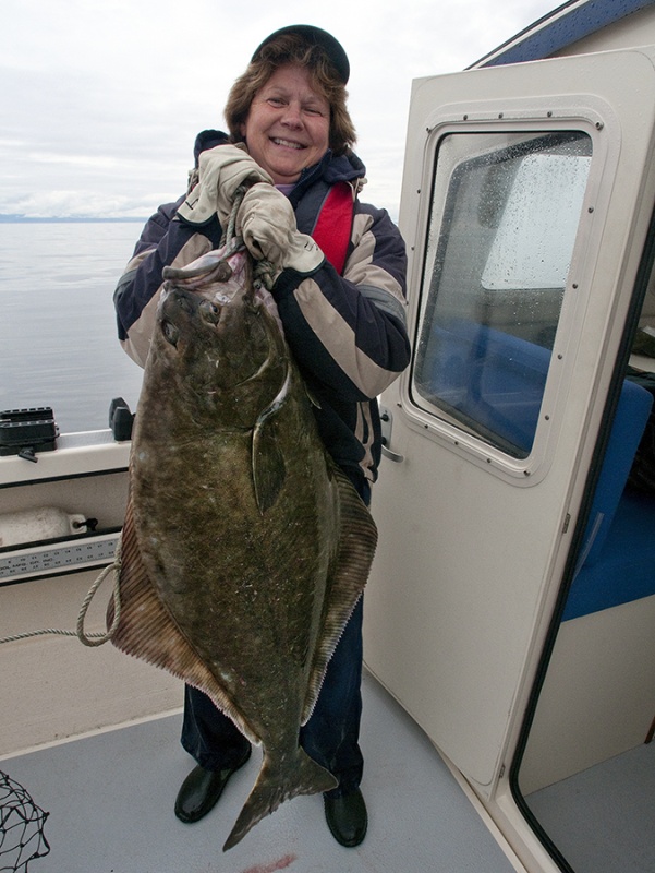 45 lb Halibut 31-36 Bank