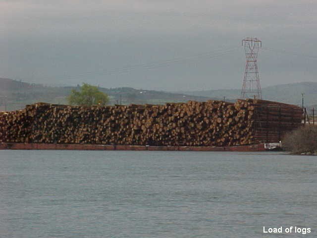 48 Load of logs