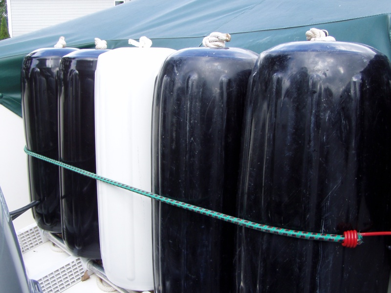 5 Fenders Held by Bungee