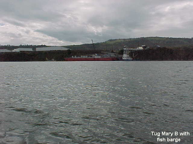 50 Tug Mary B with fish barge