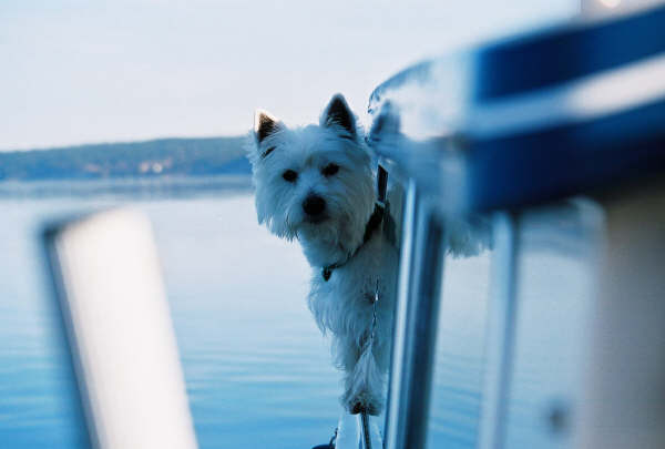 533564-R1-14A.jpg