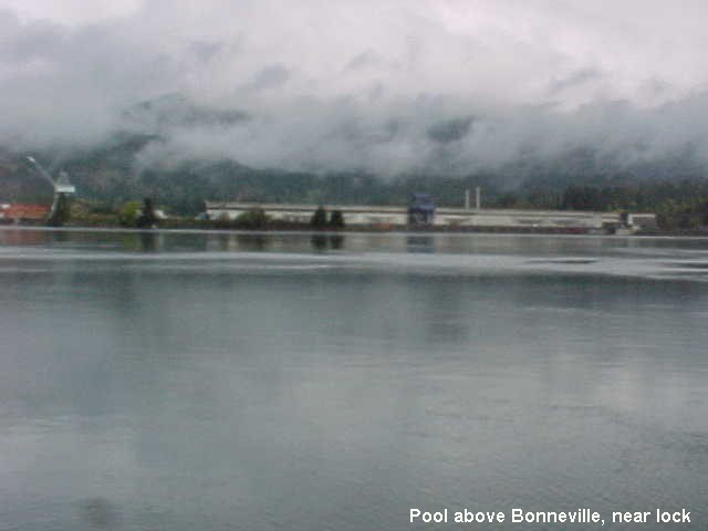 54 Pool above Bonneville